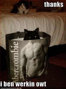 funny-pictures-your-cat-has-been-working-out
