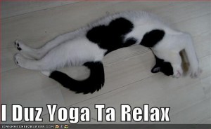 i-duz-yoga-ta-relax