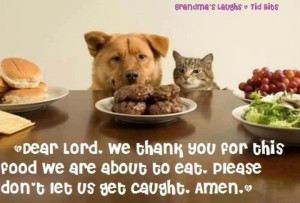 Funny-Animals-01-Dear-Lord-Thanks
