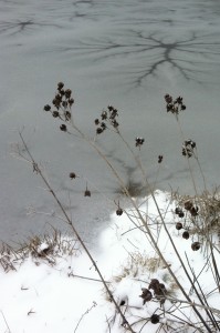 cracked ice in winter
